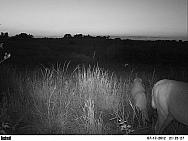 PICT0197-001