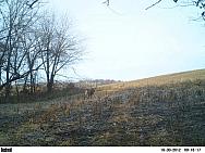 PICT0322