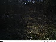 PICT0366