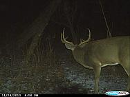 CDY 0066
