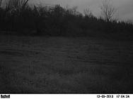 PICT0017