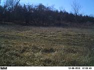 PICT0061