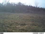 PICT0075