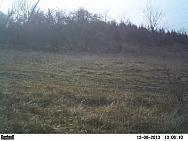 PICT0078