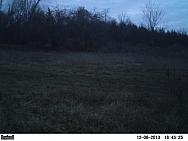 PICT0089-001