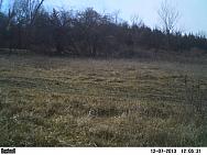 PICT0113-001