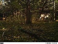 PICT0133-001