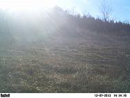 PICT0152-001