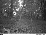 PICT0154