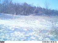 PICT0188