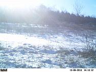 PICT0203