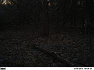 PICT0206