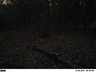 PICT0207