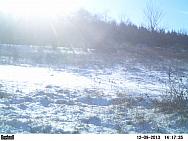 PICT0208-001