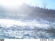PICT0214