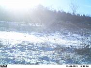 PICT0216