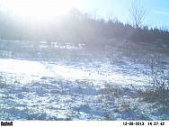PICT0218
