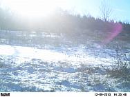 PICT0219