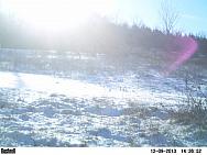 PICT0221