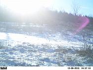 PICT0223