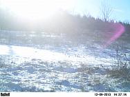 PICT0224