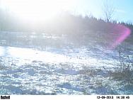 PICT0226