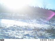 PICT0228