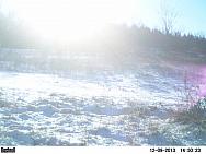 PICT0233-001