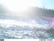 PICT0234