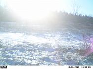 PICT0235