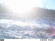 PICT0237