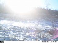 PICT0238