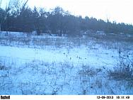 PICT0243-001