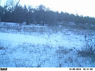 PICT0244