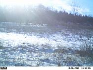 PICT0256