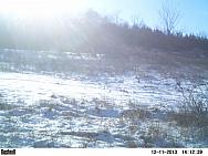 PICT0295