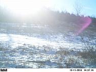 PICT0297