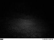 PICT0355