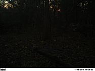 PICT0546