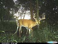 CDY 0070
