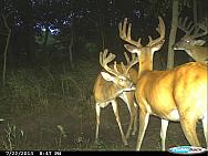CDY 0221