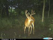 CDY 0300