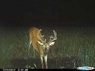 CDY 0547
