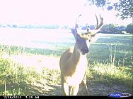 CDY 0700