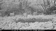 IMG 0232