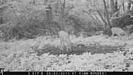 IMG 0234