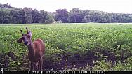 IMG 2022