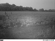 PICT0020