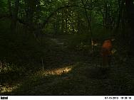 PICT0232