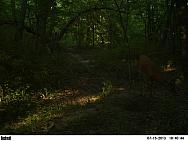 PICT0235-001
